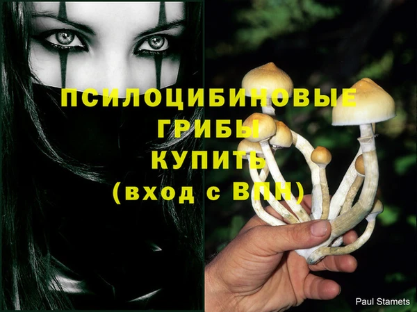 PSILOCYBIN Арсеньев