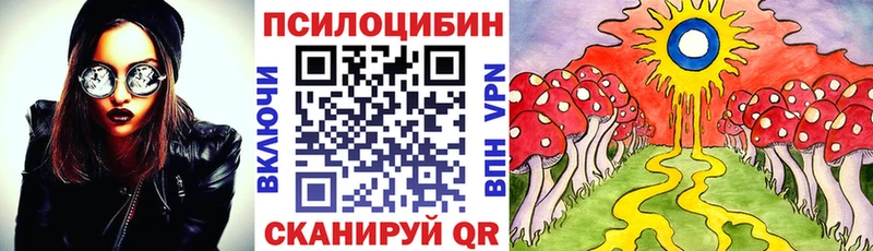 МЕГА онион Теберда Псилоцибиновые грибы GOLDEN TEACHER
