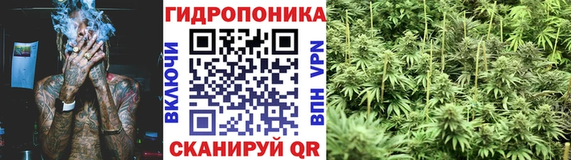 купить закладку Теберда Бошки марихуана план